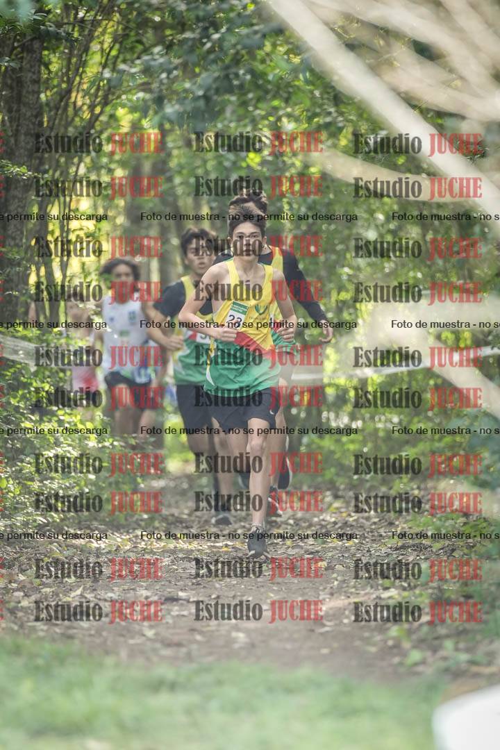 Fotos en el circuito