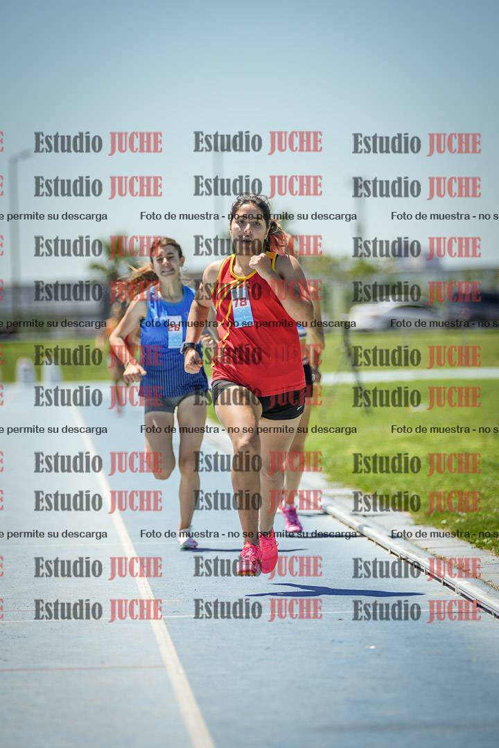 Fotos de los 800 m llanos de mujeres