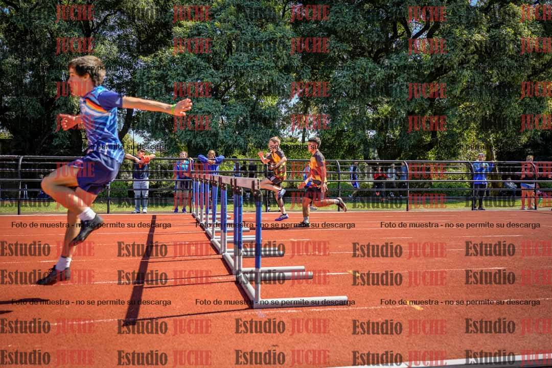 Fotos de los 110 m con vallas de varones