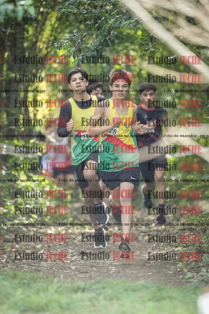 Fotos en el circuito