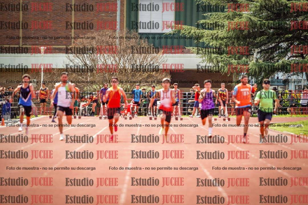 Fotos de los 100 m de varones