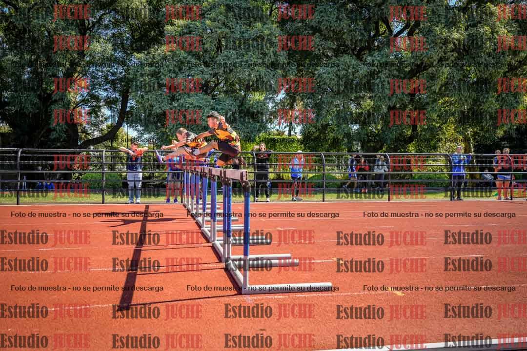 Fotos de los 110 m con vallas de varones
