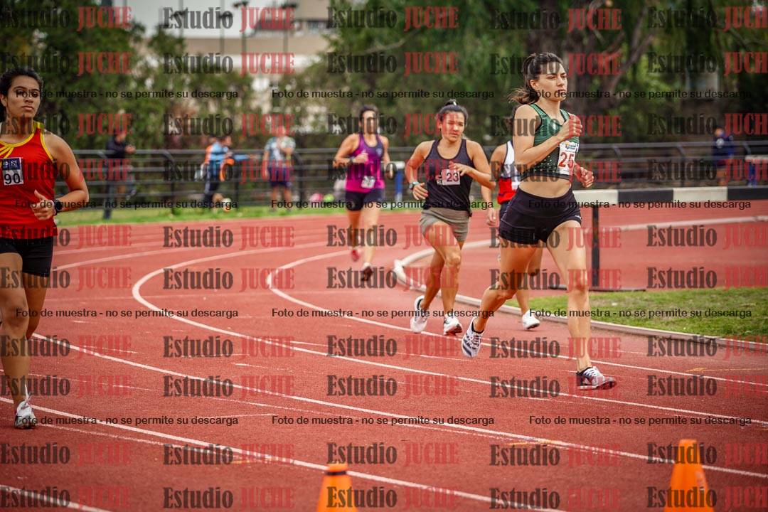 Fotos de los 800 m llanos de mujeres