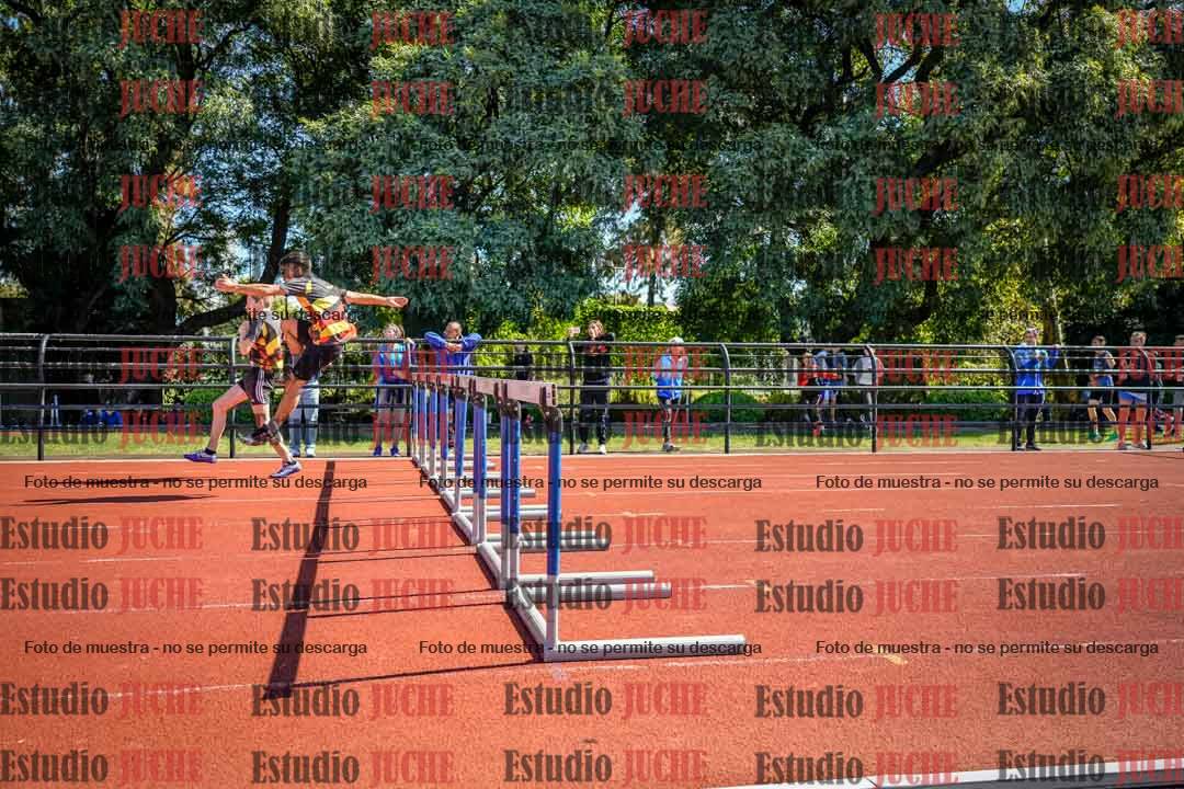 Fotos de los 110 m con vallas de varones