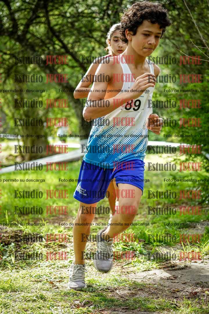 Fotos en el circuito