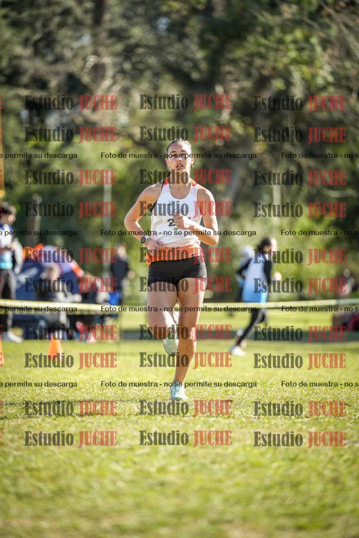 Fotos de la llegada del cross de 3000 m