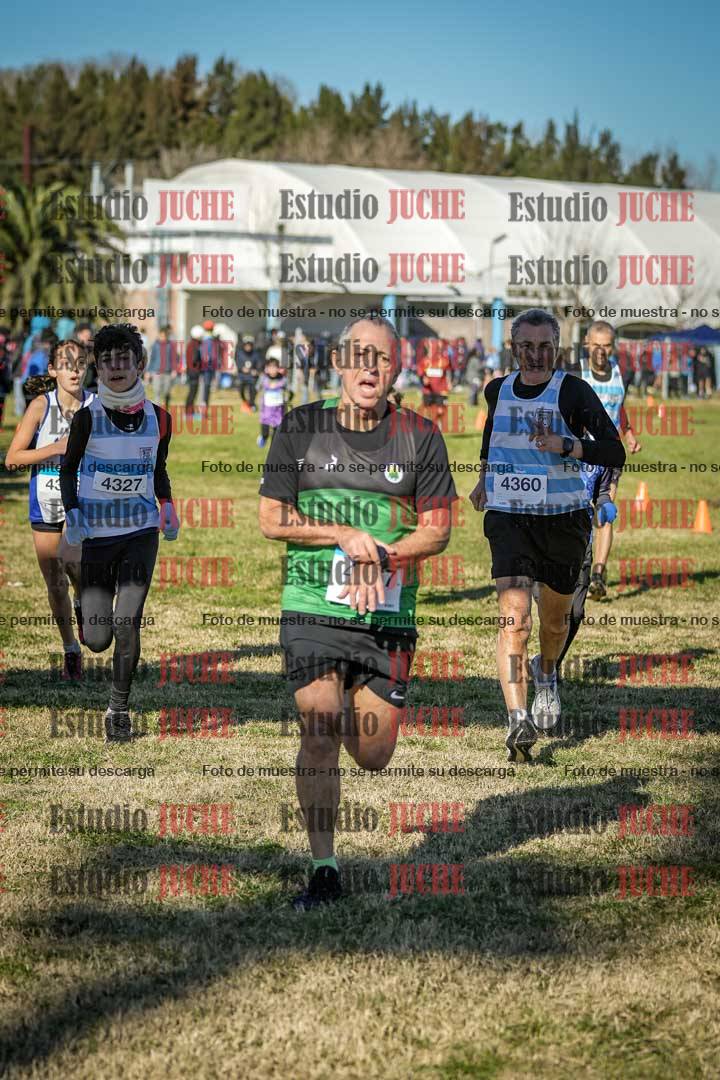 Fotos de las llegadas