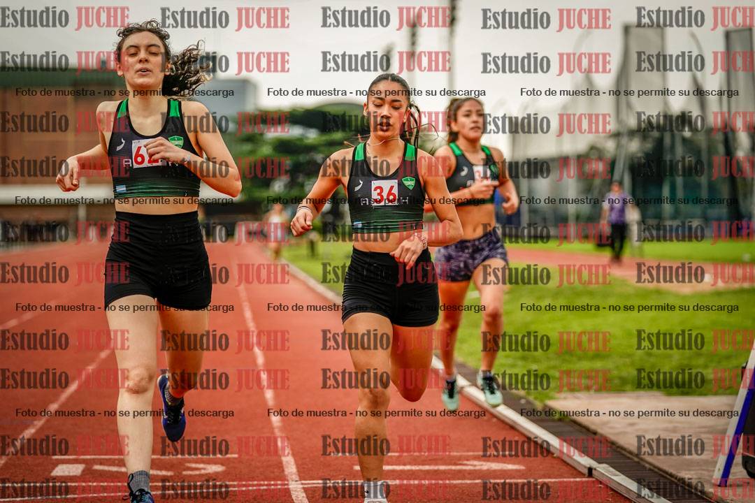 Fotos de los 800 m llanos de mujeres