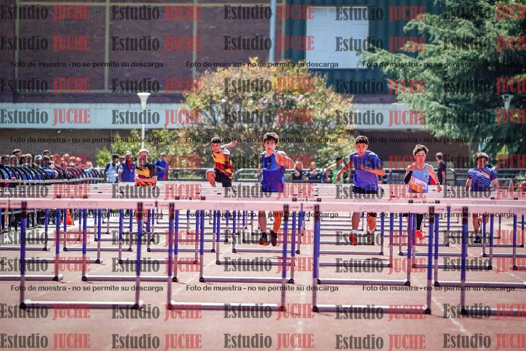 Fotos de los 110 m con vallas de varones