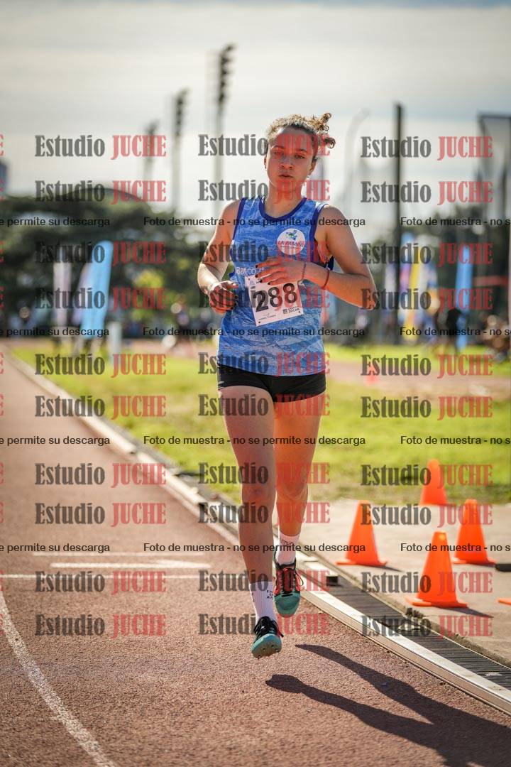 Fotos de los 800 m llanos de mujeres
