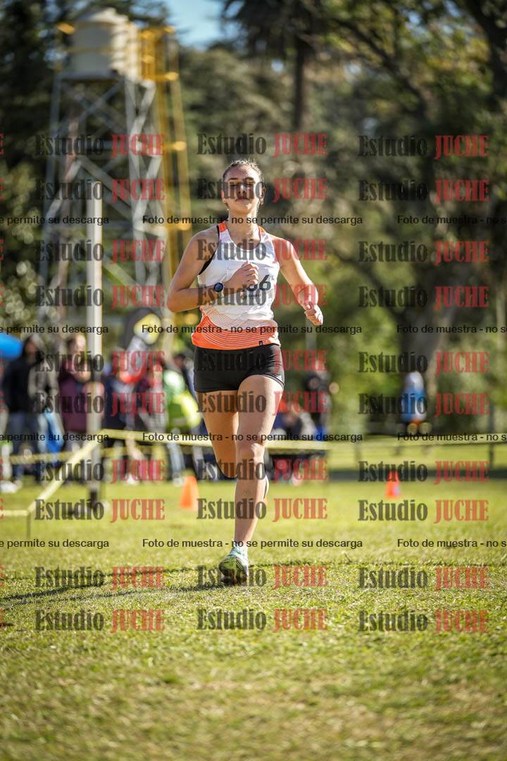 Fotos de la llegada del cross de 3000 m