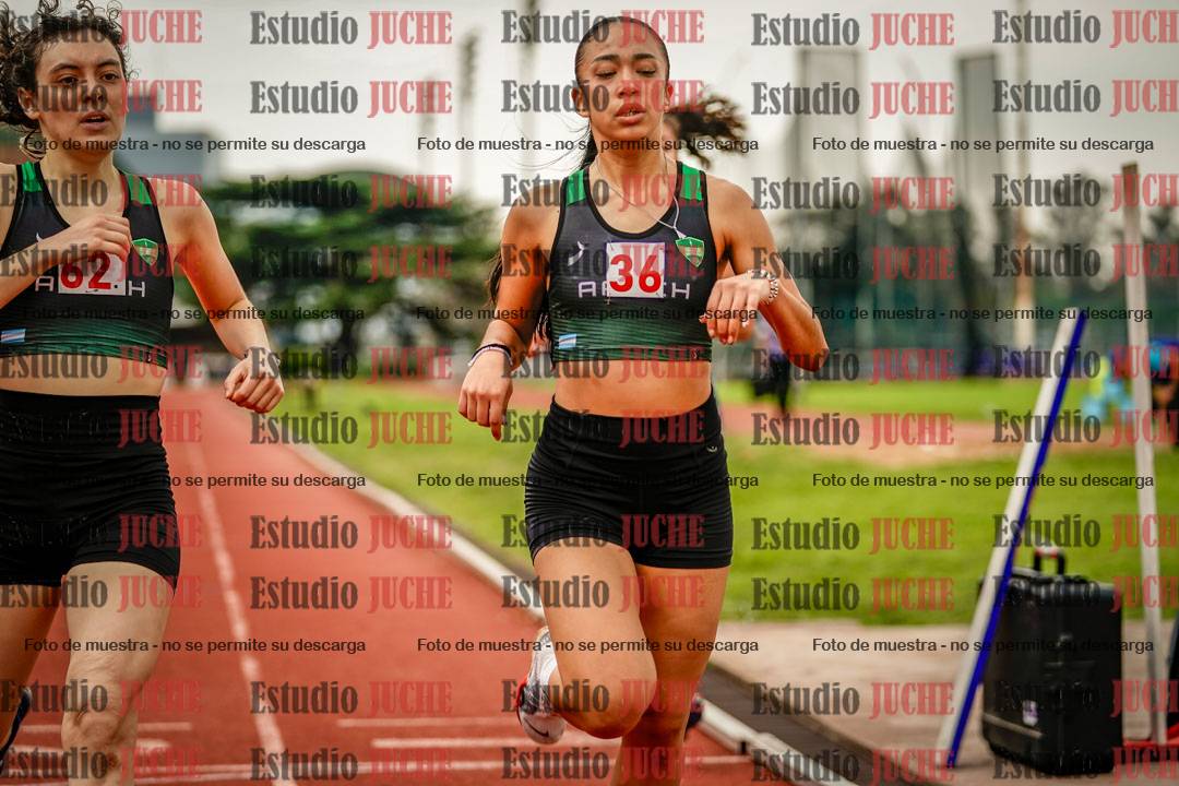 Fotos de los 800 m llanos de mujeres