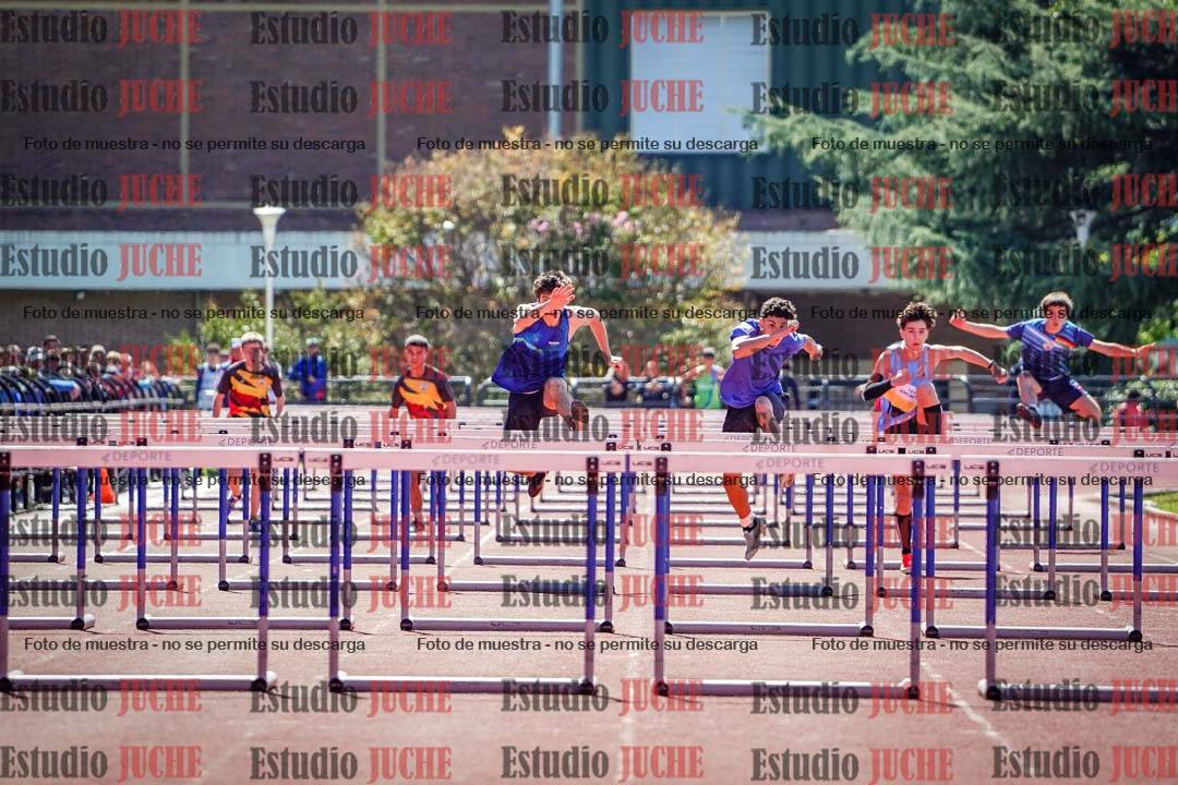 Fotos de los 110 m con vallas de varones