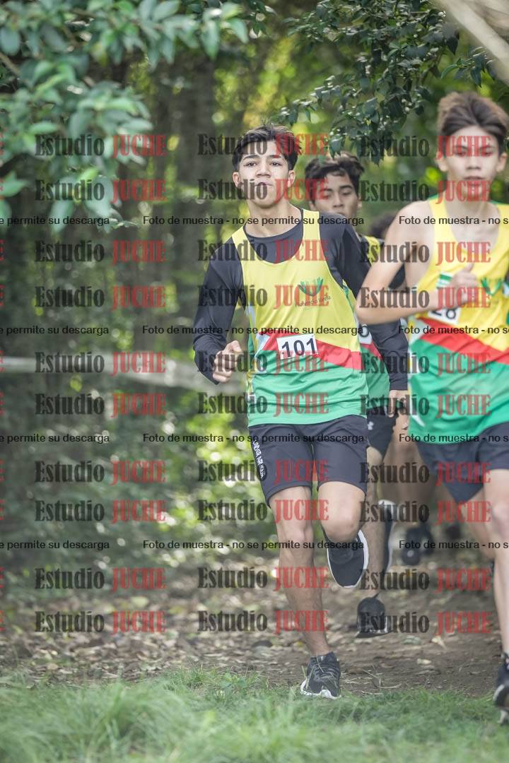 Fotos en el circuito