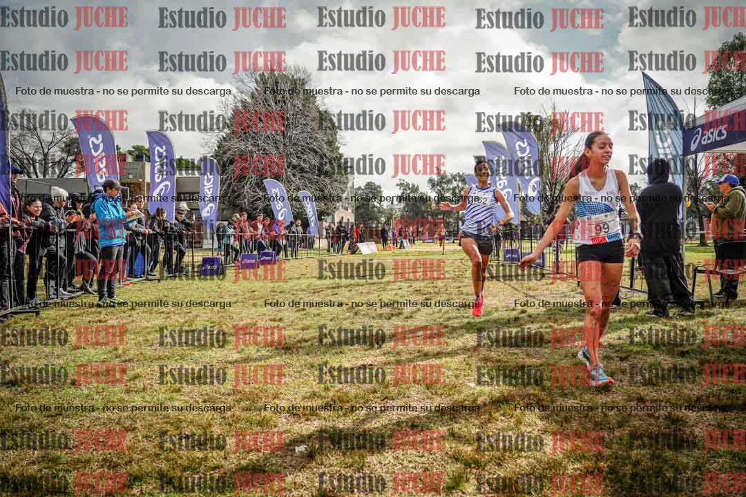Fotos de la llegada