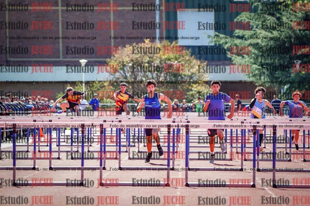 Fotos de los 110 m con vallas de varones