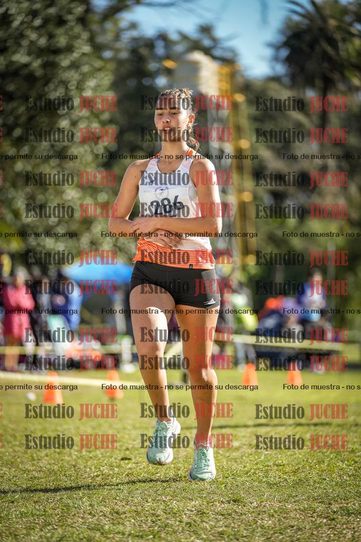 Fotos de la llegada del cross de 3000 m