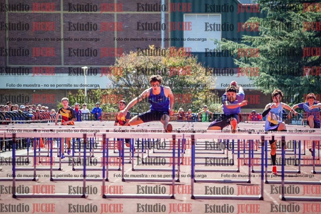 Fotos de los 110 m con vallas de varones