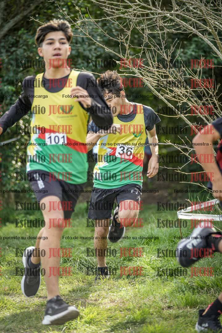 Fotos en el circuito