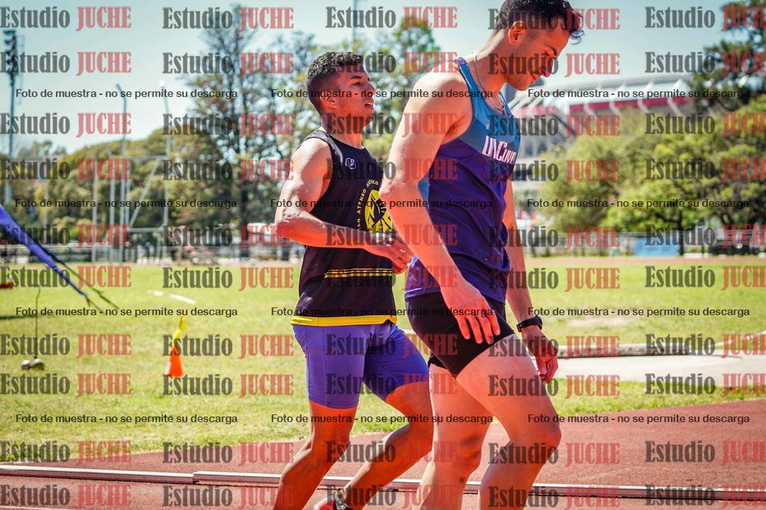 Fotos de los 110 m con vallas de varones