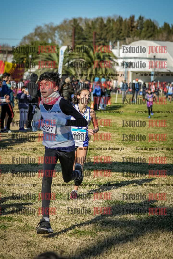 Fotos de las llegadas