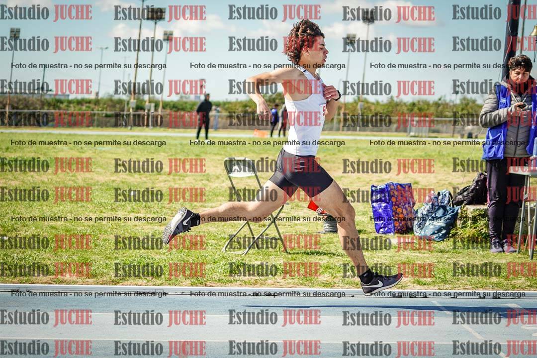 Fotos de los 800 m llanos de varones