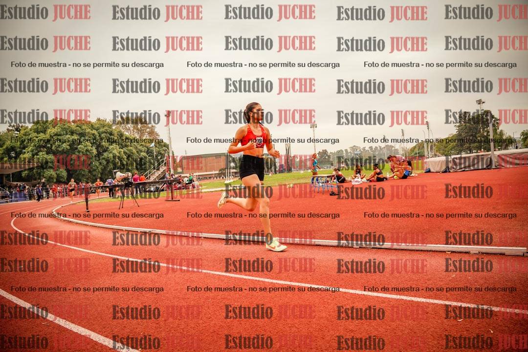 Fotos de los 800 m llanos de mujeres
