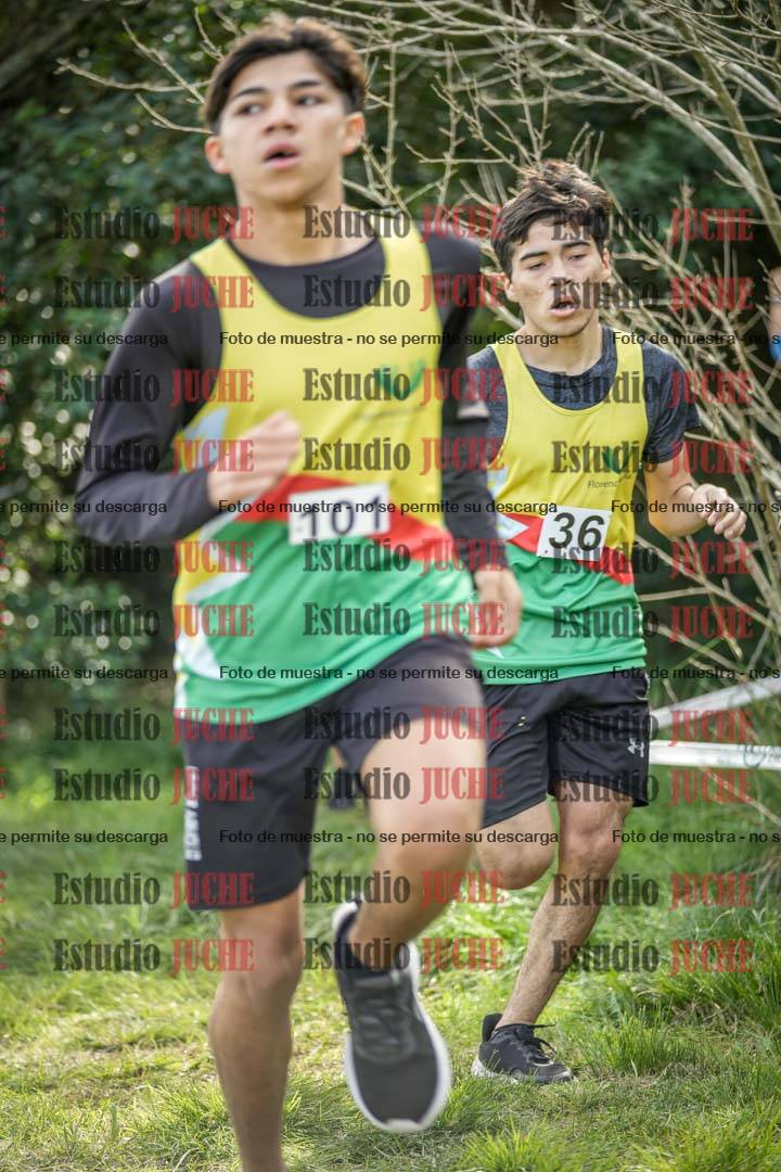 Fotos en el circuito