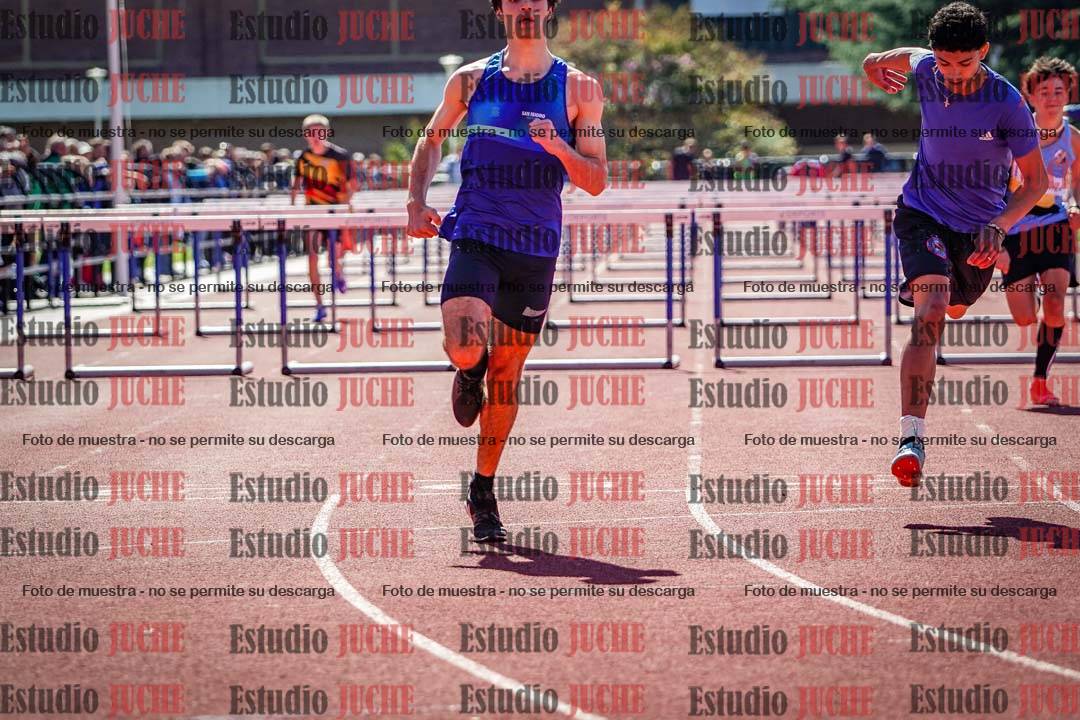 Fotos de los 110 m con vallas de varones
