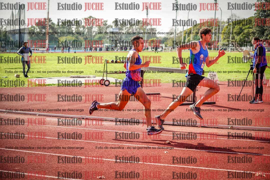 Fotos de los 800 m llanos de varones