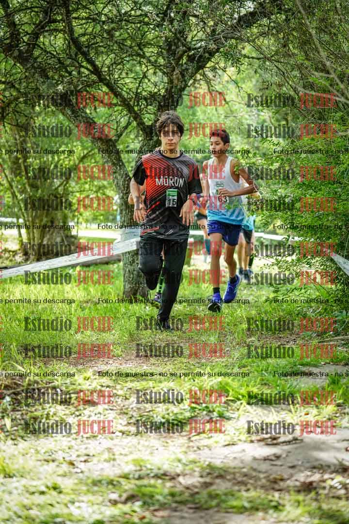Fotos en el circuito