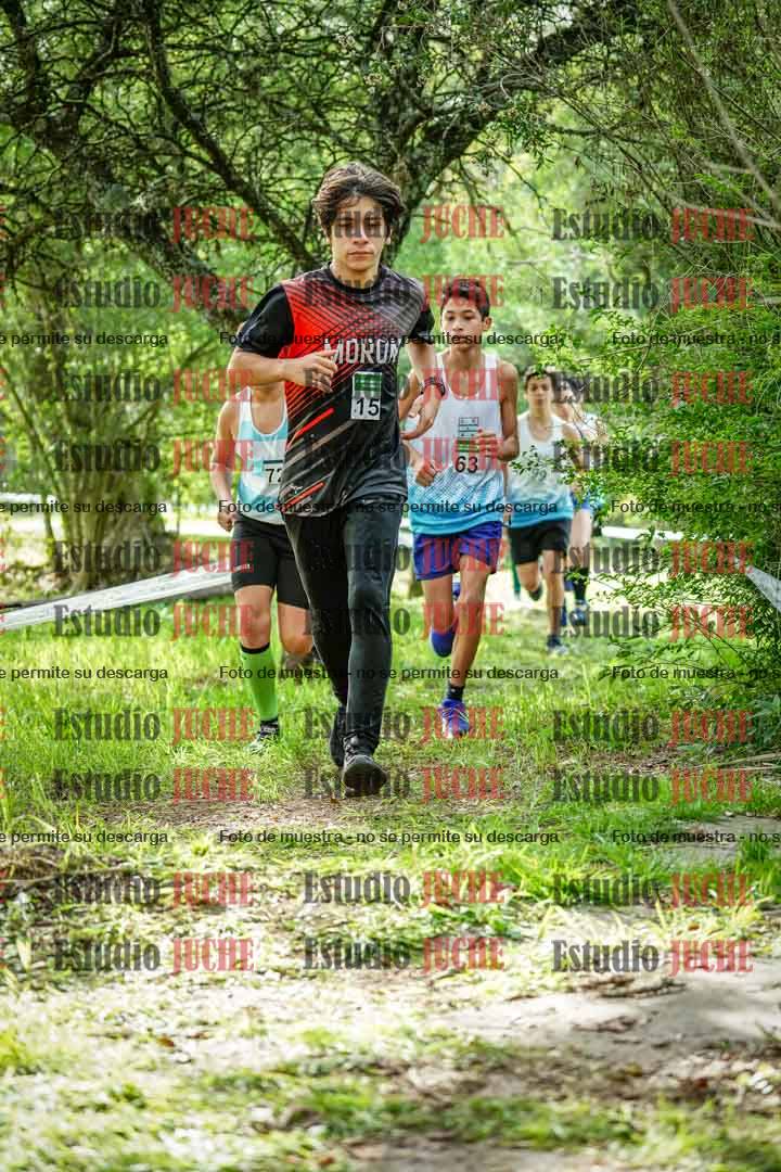 Fotos en el circuito