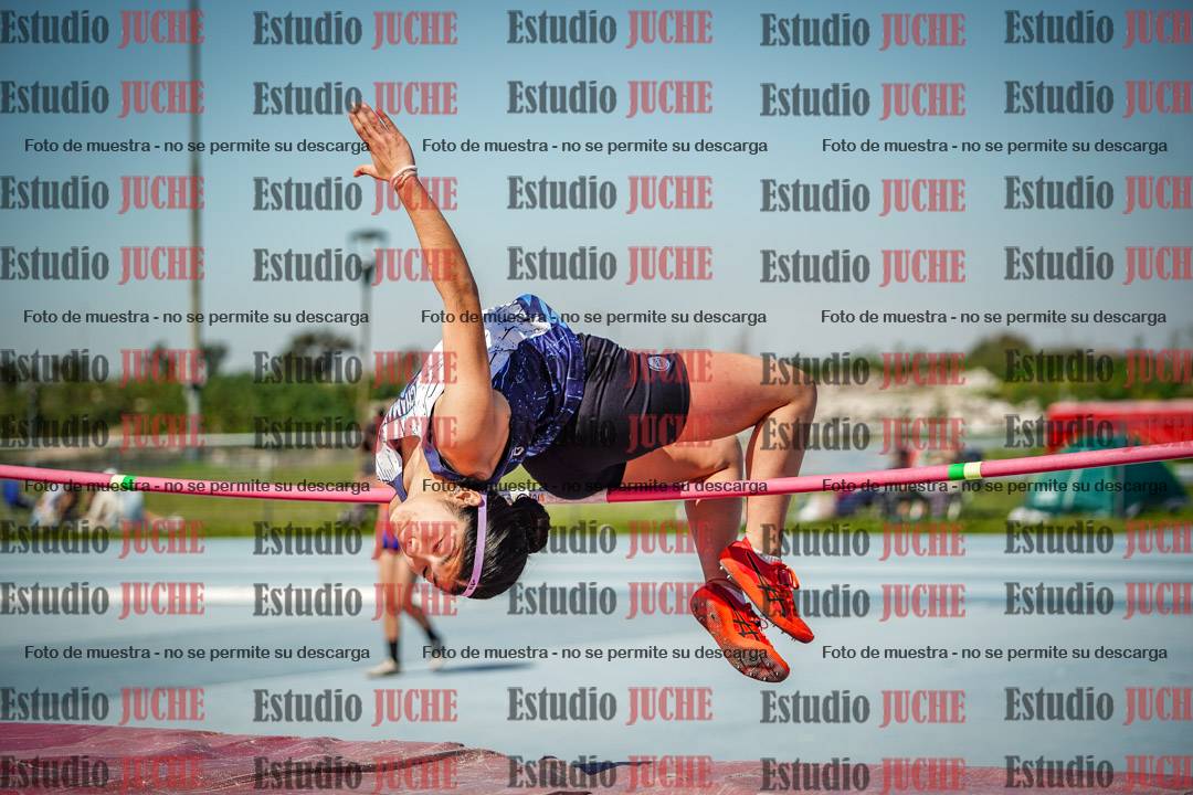 Fotos del salto en alto de mujeres