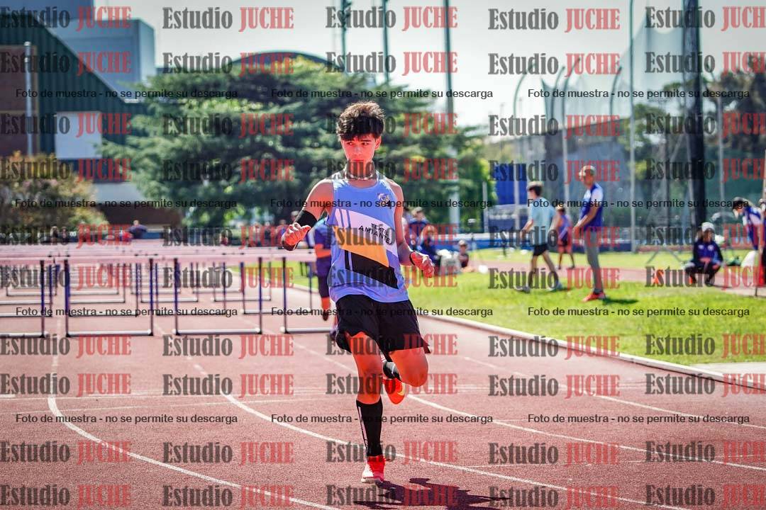 Fotos de los 110 m con vallas de varones