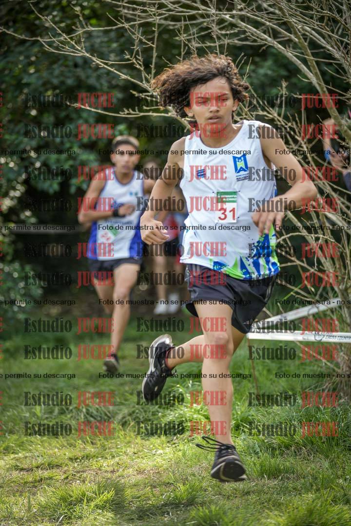 Fotos en el circuito