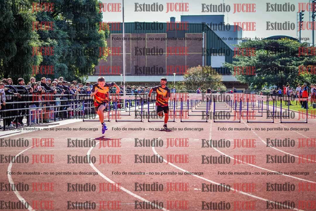 Fotos de los 110 m con vallas de varones