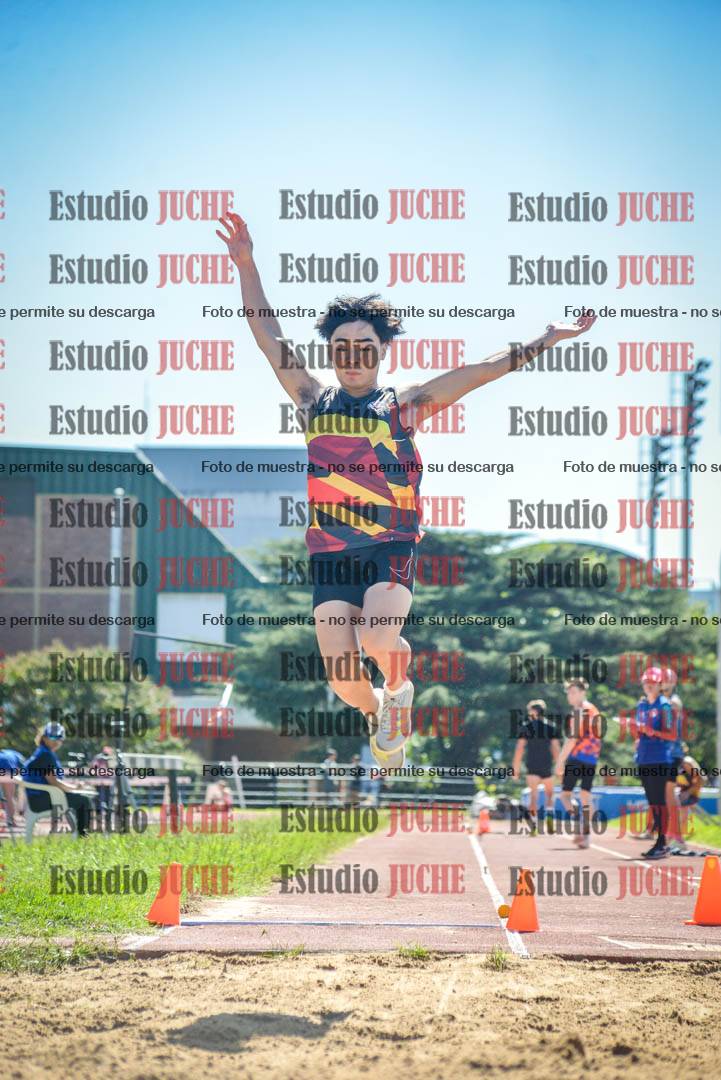 Fotos del salto en largo de varones