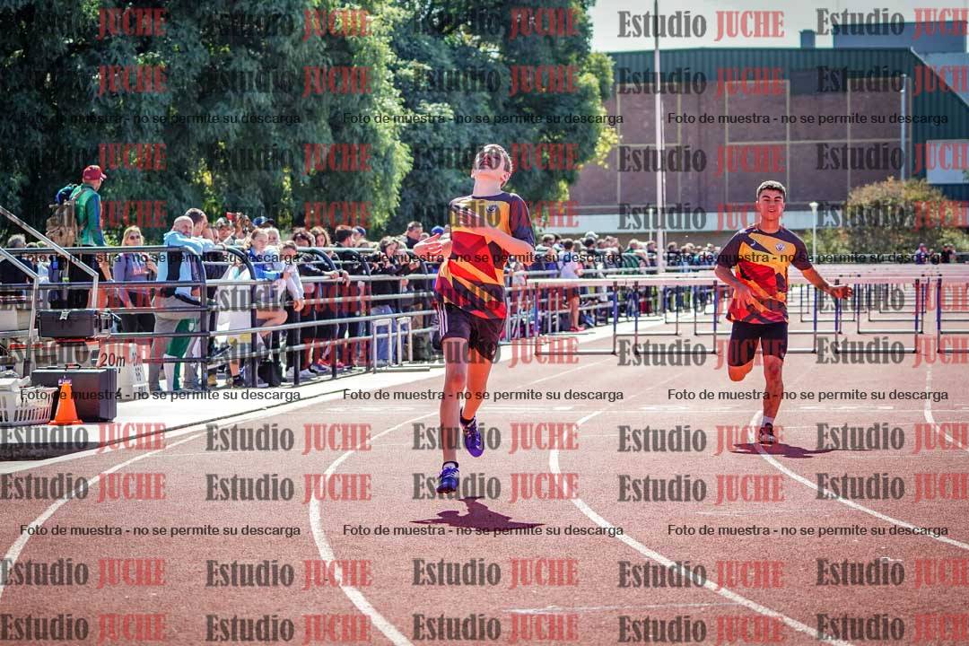 Fotos de los 110 m con vallas de varones