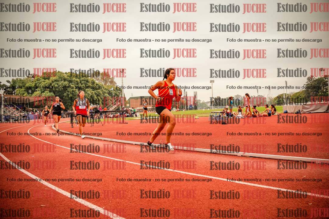Fotos de los 800 m llanos de mujeres