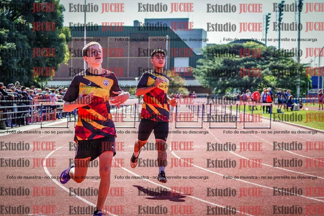 Fotos de los 110 m con vallas de varones