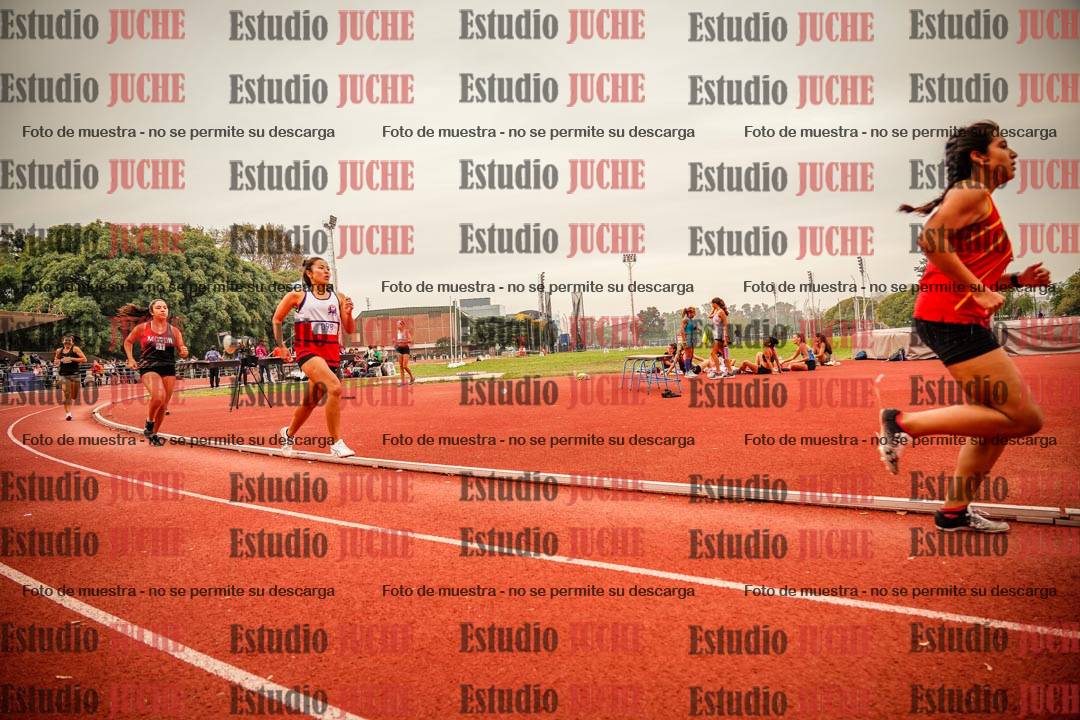 Fotos de los 800 m llanos de mujeres