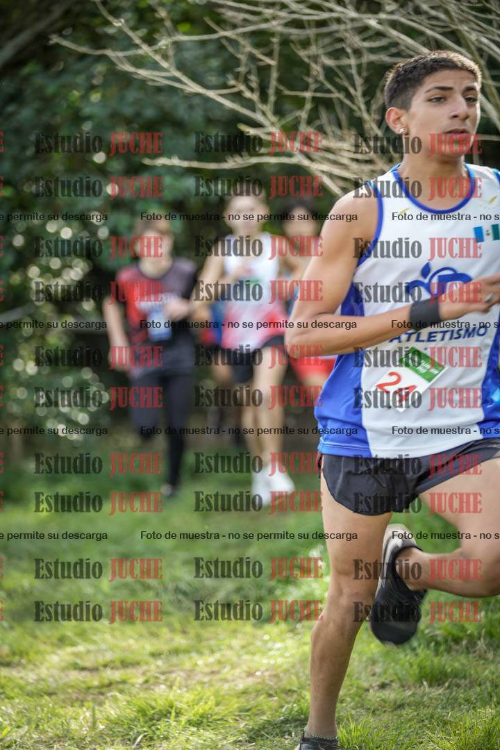 Fotos en el circuito