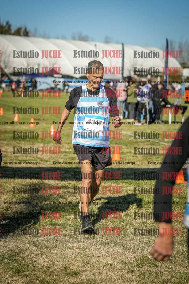Fotos de las llegadas