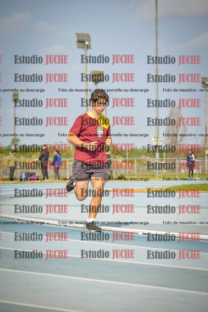 Fotos de los 800 m llanos de varones