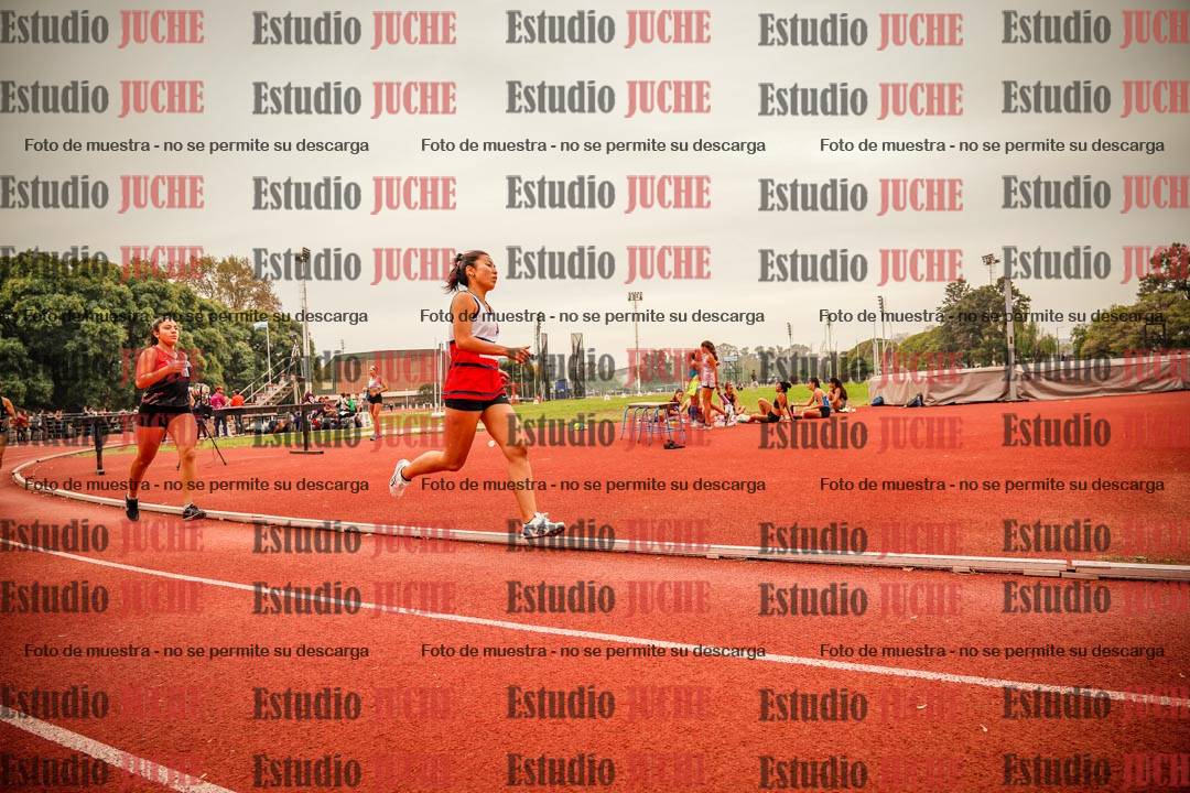 Fotos de los 800 m llanos de mujeres