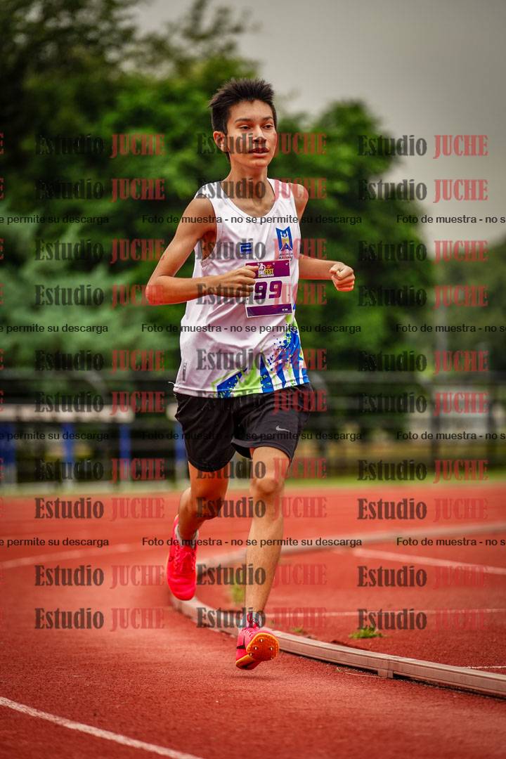 Fotos de los 800 m llanos de varones