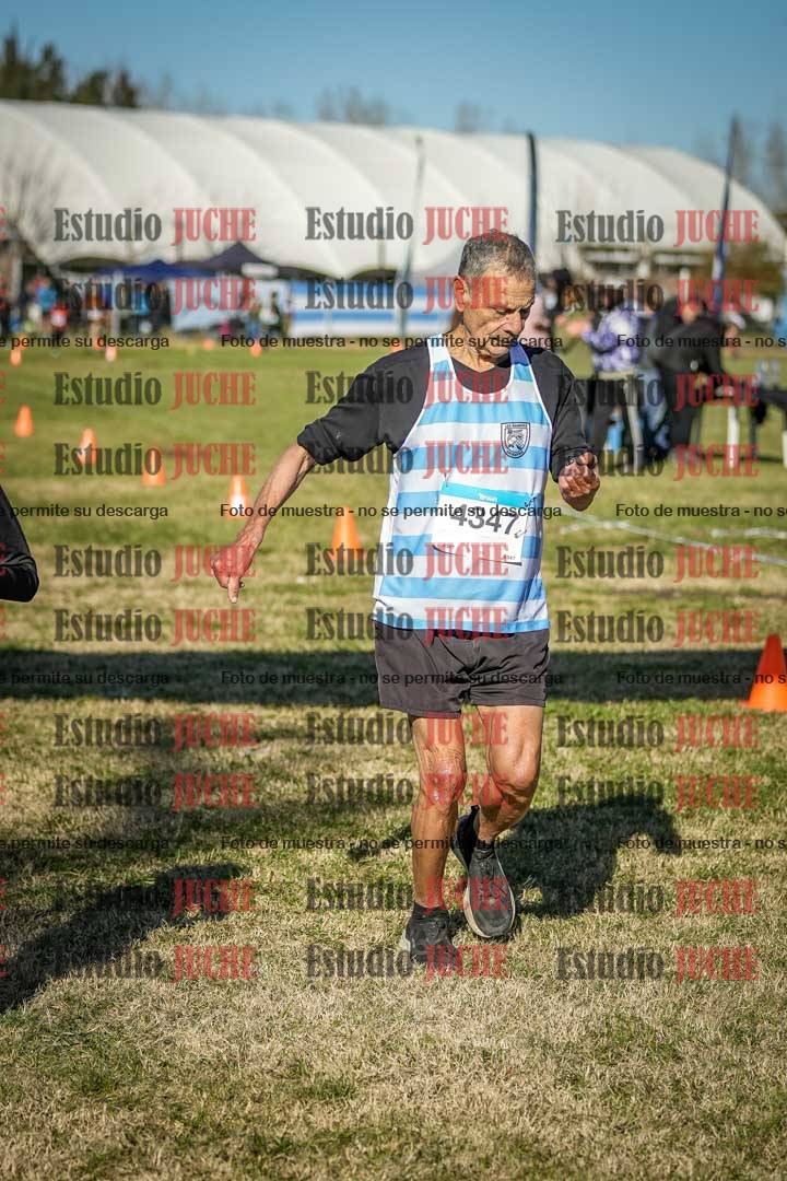 Fotos de las llegadas