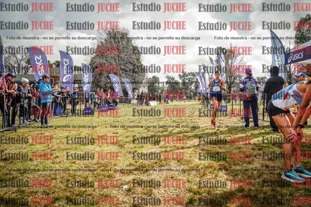 Fotos de la llegada