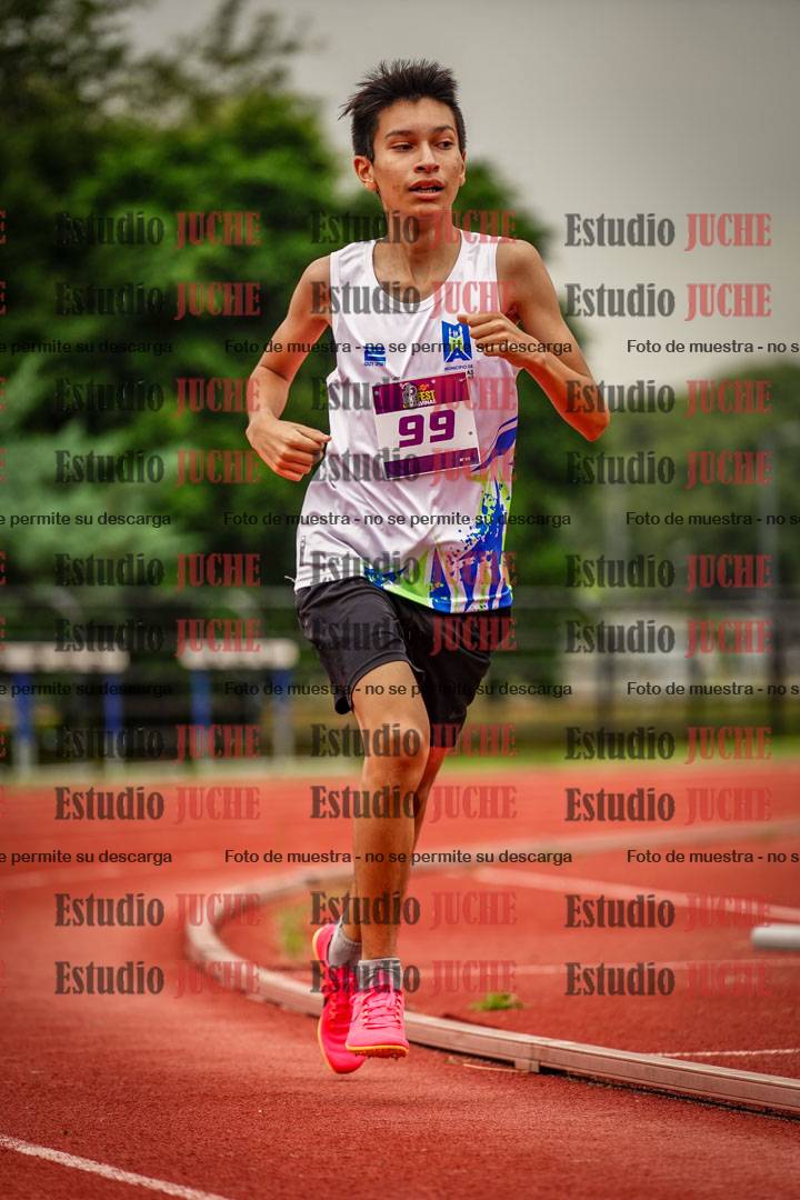 Fotos de los 800 m llanos de varones