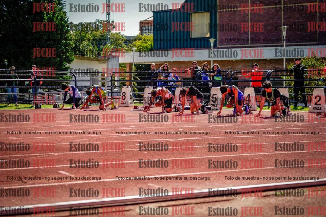 Fotos de los 110 m con vallas de varones